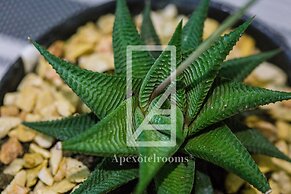 Padgett Place - Deluxe Suites