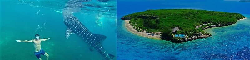 Padgett Place - Deluxe Suites