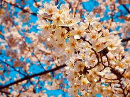 APA Hotel Asakusa Ekimae