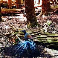 Dam It Getaway- Homestead