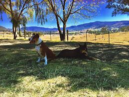 Dam It Getaway- Homestead