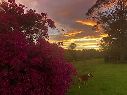 Dam It Getaway- Homestead