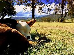 Dam It Getaway- Homestead