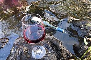 Dam It Getaway- Homestead