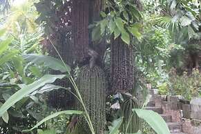 Bahay Isla Sanctuario