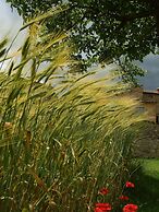 Baciano Azienda Agrituristico Venatoria