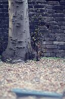 Camden Road Apartments