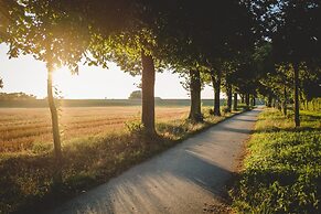 Zum Vater Rhein
