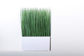 Gateway to Greenwich Suites