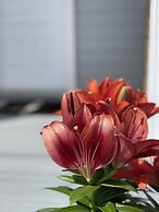 Gateway to Greenwich Suites