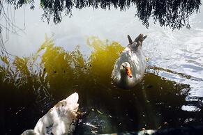 Pousada Tucano do Cuiabá
