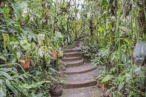 Cabañas Armonía y Jardín de Orquideas