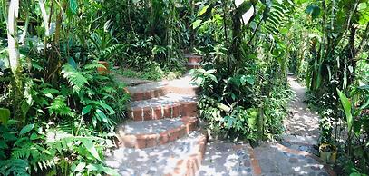 Cabañas Armonía y Jardín de Orquideas