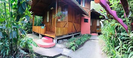 Cabañas Armonía y Jardín de Orquideas
