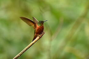Cabañas Armonía y Jardín de Orquideas