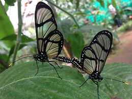 Cabañas Armonía y Jardín de Orquideas