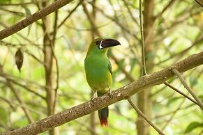 Cabañas Armonía y Jardín de Orquideas