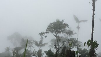 Cabañas Armonía y Jardín de Orquideas