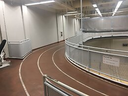 Altitude Suites Bay Street by Teristo Group