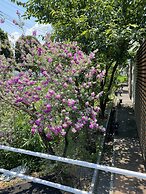 HOTEL OASIS - Adults Only