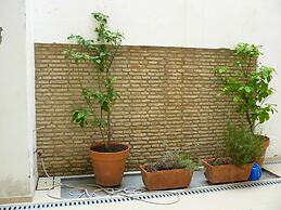 Alfaqueque Apartment