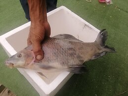 Lom Choi Home Stay Ayutthaya - Hostel