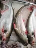 Lom Choi Home Stay Ayutthaya - Hostel