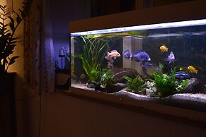 Hotel Gasthof Zur Rose