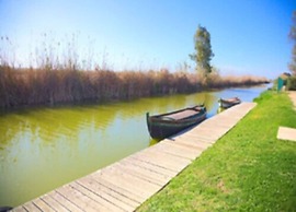 Devesa Gardens Camping & Resort