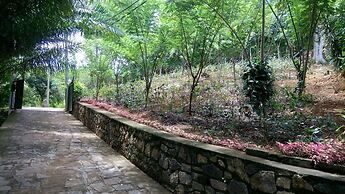 Tea Leaf Retreat Peradeniya
