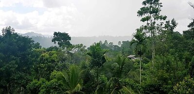 Tea Leaf Retreat Peradeniya