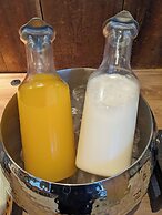 Global Cabin Yokohama Chukagai