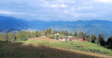 Pilav Dagi Yavuzyilmaz Tesisleri