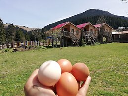 Pilav Dagi Yavuzyilmaz Tesisleri