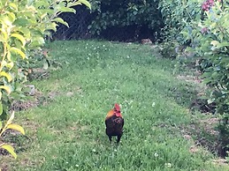 Cygnet Old Bank B & B Cafe & Gift Store