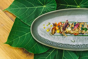 Elysian Luxury Eco Island Retreat