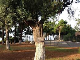 Luxury Residential Home Evangeli