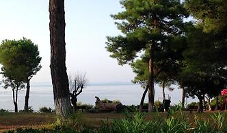 Luxury Residential Home Evangeli