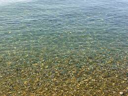 Luxury Residential Home Evangeli