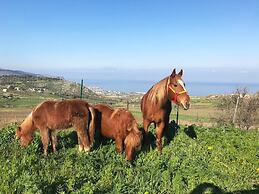 Villa Panoramica Sul Mare