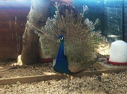 Villa Panoramica Sul Mare