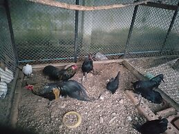 RoomQuest Chonburi Phanat Nikhom