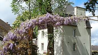 Château Bily Chambres d'hôtes