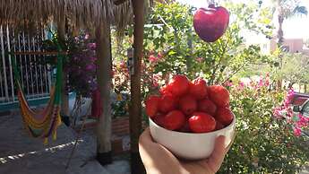 Casa Dominguez Apartment 4