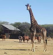 Grootgeluk Bush Camp