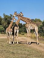 Glen Afric Country Lodge