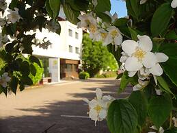 Hotel Scholz