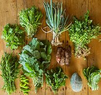 Mundo Nuevo Eco Lodge