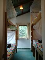 Mundo Nuevo Eco Lodge