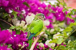 Mundo Nuevo Eco Lodge